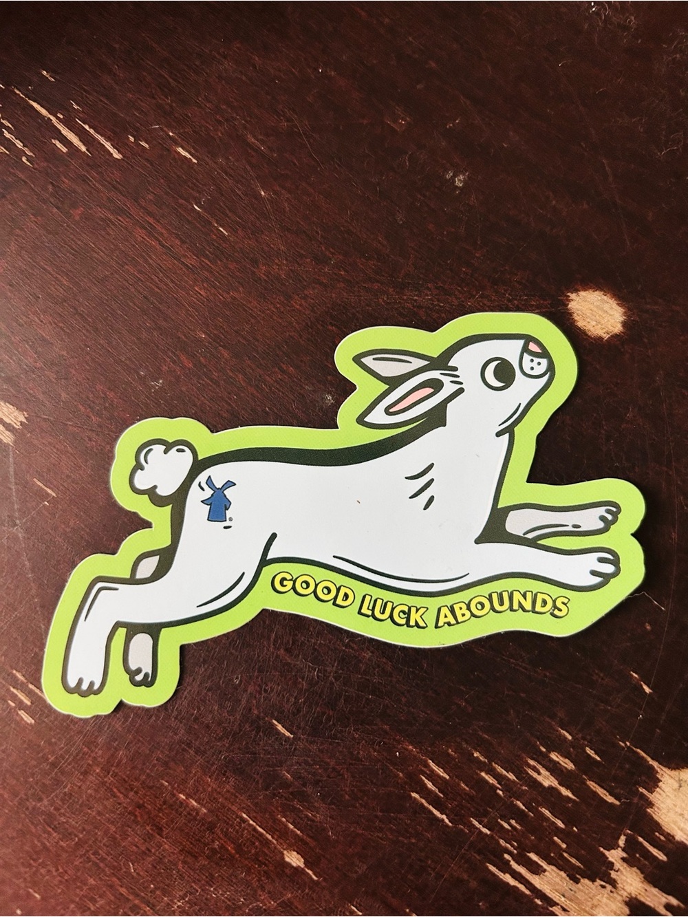 Dutch Bros lucky bunny sticker